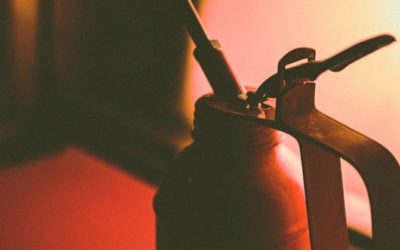 Regular vs. Synthetic Oil