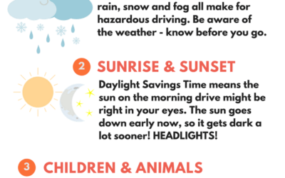 Fall Driving Safety Tips – Infographic