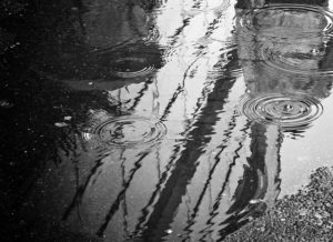 Image of a wet road during a rain