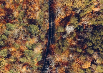 4 Car Maintenance Items to Do Before Fall