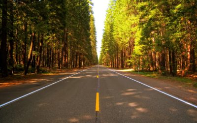 Preparing Your Car for Spring | Infographic