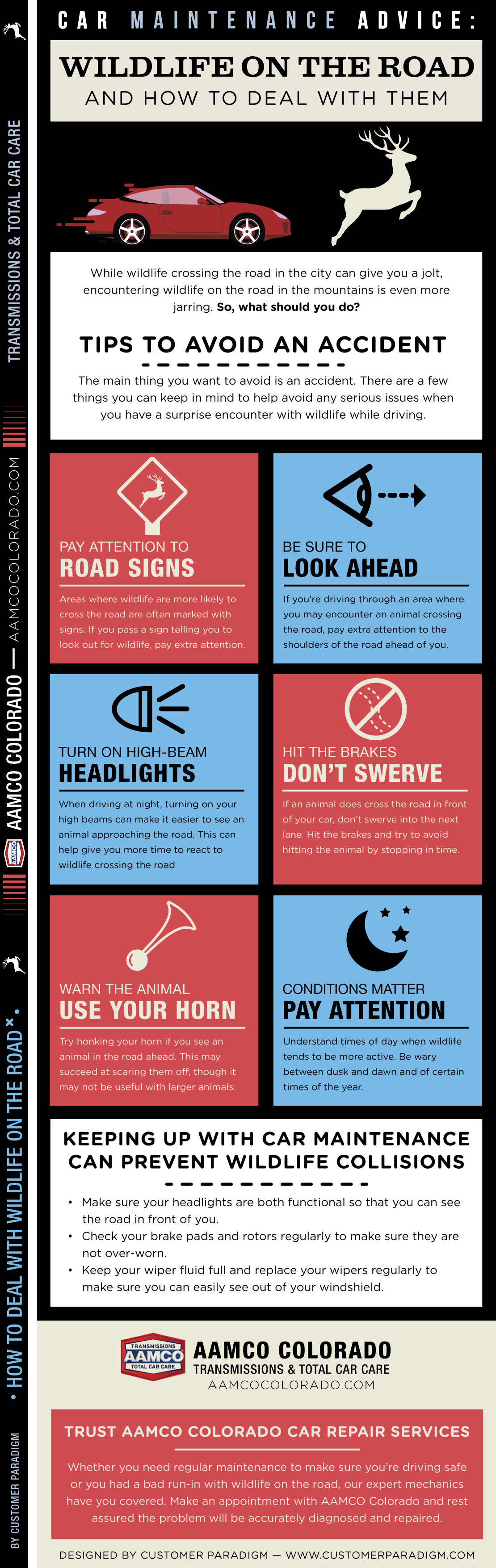 image of infographic how to deal with wildlife on the road