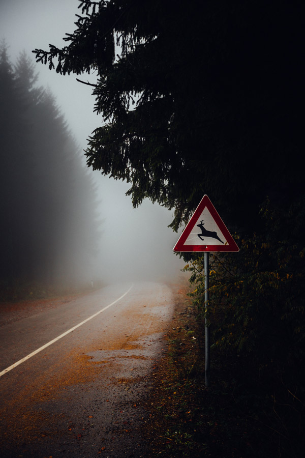image of a deer crossing warning sign on foggy road